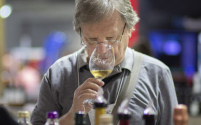 Wine South America coloca o Brasil no centro do mundo dos vinhos