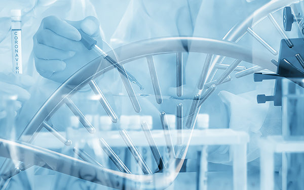 Cientistas propõem infectar voluntários para acelerar vacina contra o coronavírus