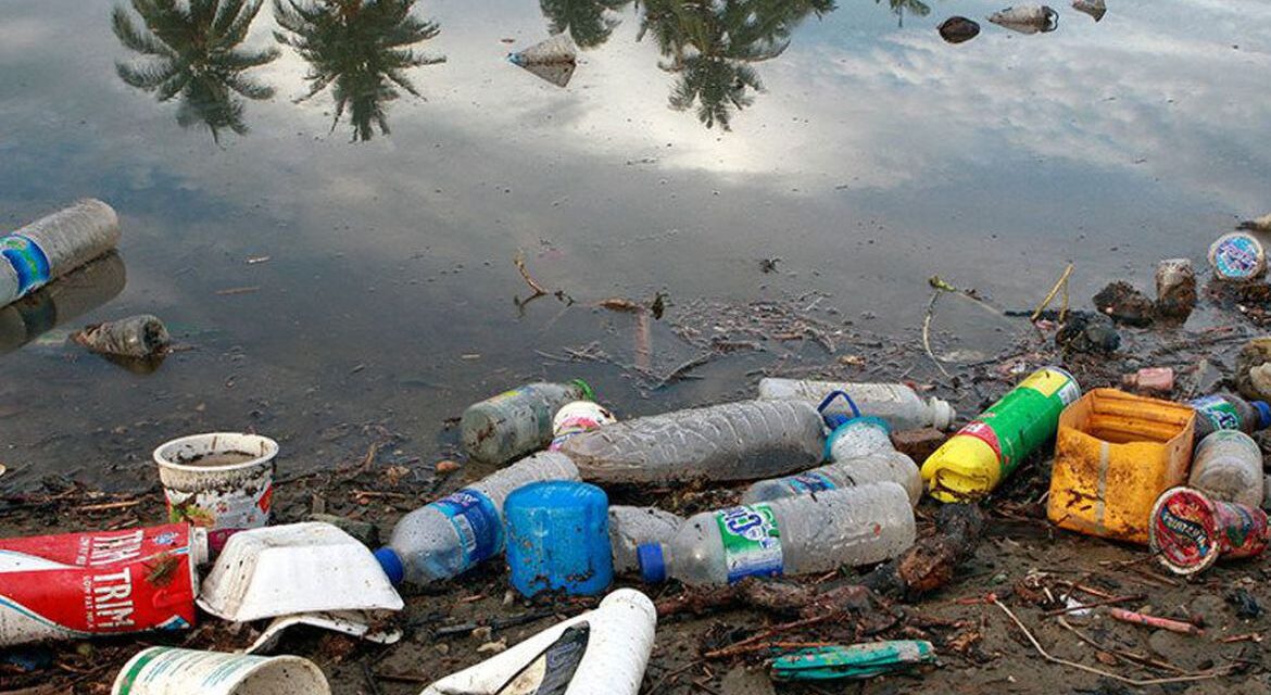 Plástico nos oceanos pode chegar a 600 milhões de toneladas em 20 anos
