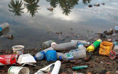 Plástico nos oceanos pode chegar a 600 milhões de toneladas em 20 anos