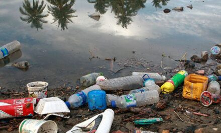 Plástico nos oceanos pode chegar a 600 milhões de toneladas em 20 anos