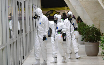 Pandemia desacelera no Brasil mas aumenta nos Estados Unidos e na Europa