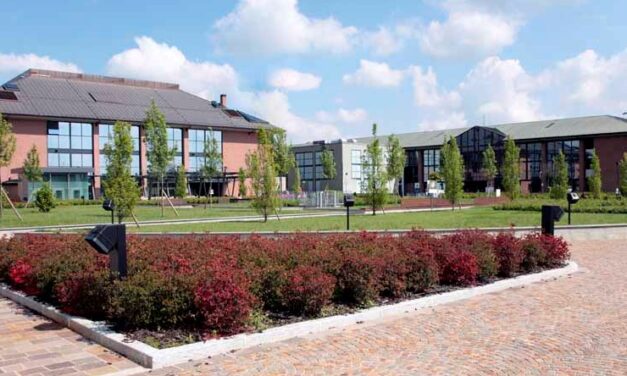 Imunidade covid: anticorpos caíram pela metade após um mês em pacientes menos graves