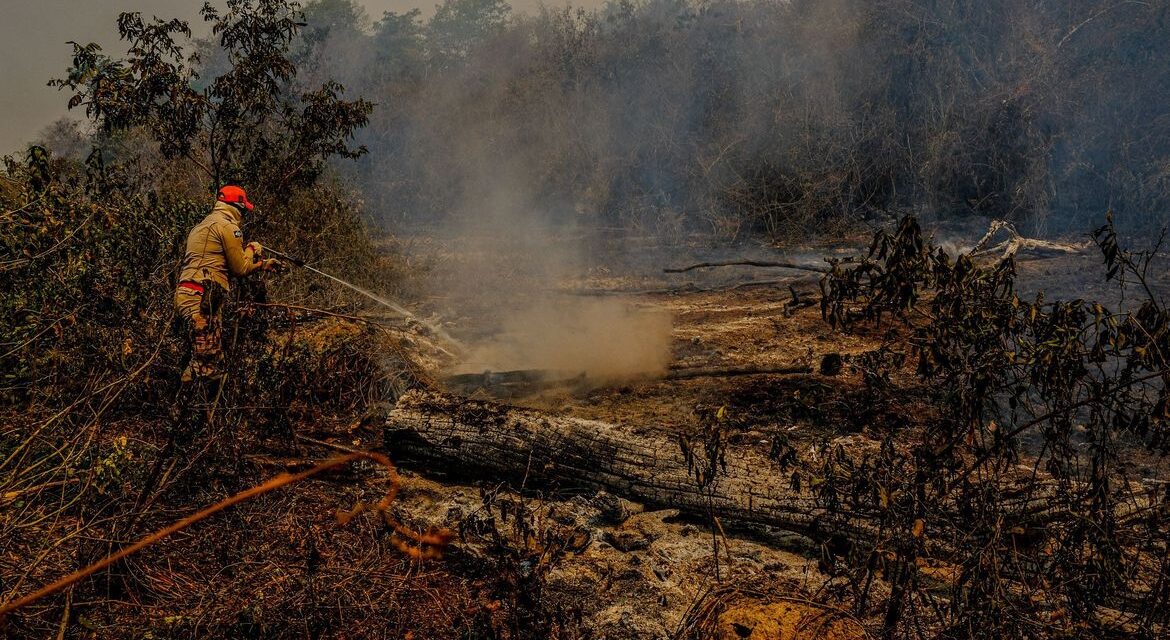 Fogo já destruiu 3,5 milhões de hectares do Pantanal