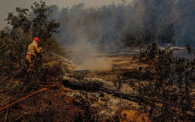 Fogo já destruiu 3,5 milhões de hectares do Pantanal