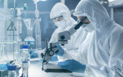 Variante sul-africana do coronavírus pode causar reinfecção