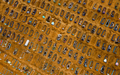 Cientistas encontram evidências de duas variantes brasileiras do coronavírus