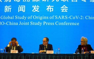 OMS confirma origem animal do coronavírus