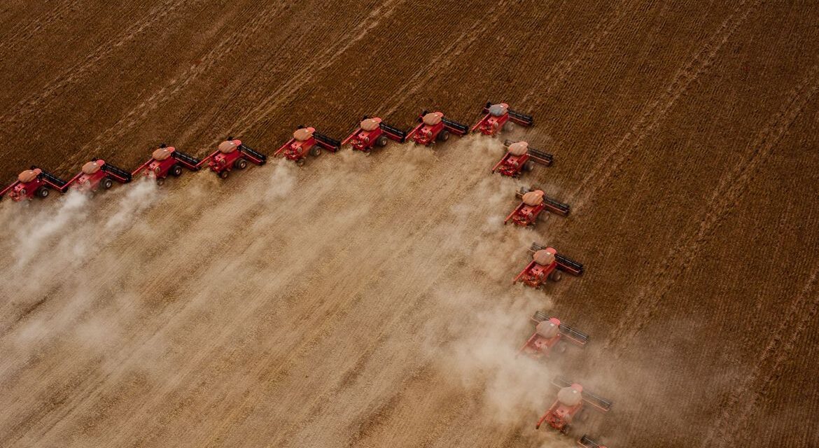 Brasil deverá ser o maior exportador de grãos do mundo em cinco anos
