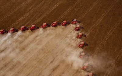Brasil deverá ser o maior exportador de grãos do mundo em cinco anos