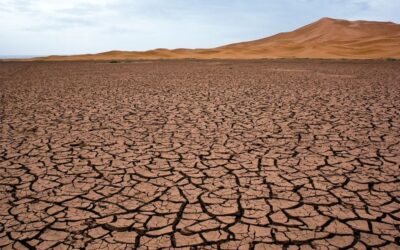 ONU alerta que seca poderá tornar-se a próxima “pandemia”