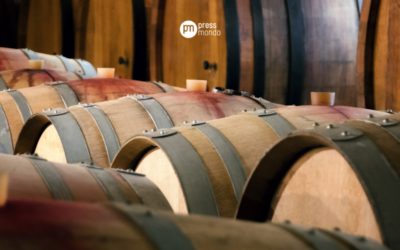 Vinhos: Itália mantém liderança mundial de produção