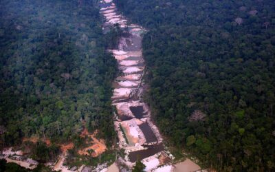 Europa deverá proibir importação de produtos provenientes de áreas de desmatamento